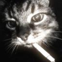 Abusement park Discord Server Banner