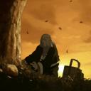 oasis of tranquility Discord Server Banner