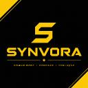 Synvora Server Icon