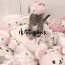 kittypws Discord Server Banner