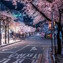 SEOUL CITY Discord Server Banner