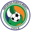 WPlace DPM Discord Server Banner