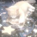 Saints Discord Server Banner