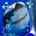 Acuario de tiburones Icon
