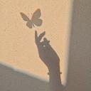 Rêve de Papillon 🦋 Discord Server Banner