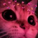 Conseil de drague ✨ Discord Server Banner