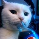 The FInal Sip Discord Server Banner