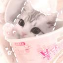 4PAWS Discord Server Banner