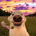 The Hangout Discord Server Banner