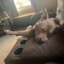 costqn Discord Server Banner