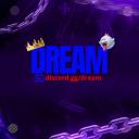 👑 DREAM ✦ ZONE Discord Server Banner