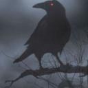 EVOLVE Discord Server Banner