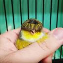 Vanguard Legion Discord Server Banner