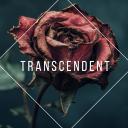 Transcendent Discord Server Banner