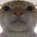 GUUURL Discord Server Banner