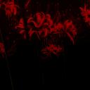 𝓕𝓻𝓪𝓰𝓲𝓵𝓮𝓼 𝓒𝓪𝓼𝓽𝓵𝓮 Discord Server Banner