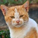 Fun with the Teens Discord Server Banner