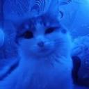 Builder Discord Server Banner