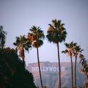 Pacific Heights Society Discord Server Banner