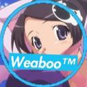 Weaboo SFW Discord Server Banner