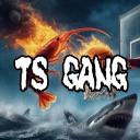 TS GANG Discord Server Banner