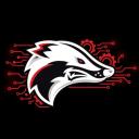 Badger Panel Discord Server Banner