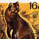 Sociedade anônima - leitores Discord Server Banner