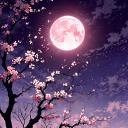 Project Sakura Discord Server Banner