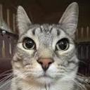 New No Ones Discord Server Banner