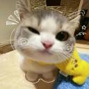 Femboy Nudes 😘 Discord Server Banner