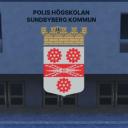 Sundbyberg Kommun [SWE] Discord Server Banner