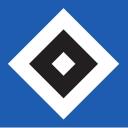 HSVplace Discord Server Banner