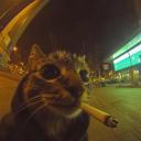 Corner Discord Server Banner