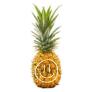 Pineapple Enthusiasts Discord Server Banner