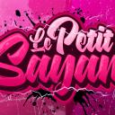 🎮 Communautés du PetitSaiyan Discord Server Banner