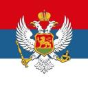 Srpzone Discord Server Banner