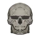 Peptidesspain Discord Server Banner