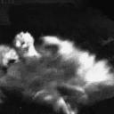 ₊ᰔ ⋮ 🪽 ⋮ Angels. ݁₊ ⊹ . ݁ Discord Server Banner