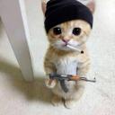 cat mafia Discord Server Banner