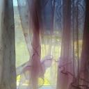 looking!! Discord Server Banner