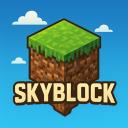 Skyblock Discord Server Banner