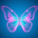 𝓓𝓻𝓮𝓪𝓶𝓵𝓪𝓷𝓭⋆.˚🦋༘⋆ Discord Server Banner