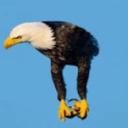 Racx gaming world Discord Server Banner