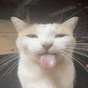 Off the Shoreline [WIP] Discord Server Banner