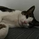 hopeless Discord Server Banner