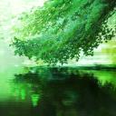 Specialities Discord Server Banner