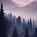 Misty Meadown Discord Server Banner