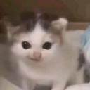 LM9AWDIN Discord Server Banner