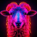 Ovelhas Voadoras Discord Server Banner