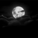 H4zlenut Family Discord Server Banner